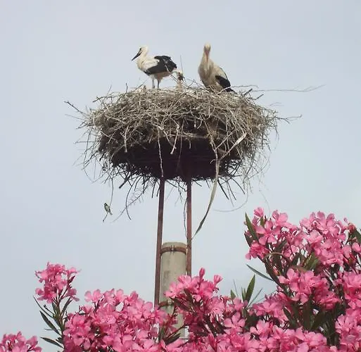 St John's House * Selcuk