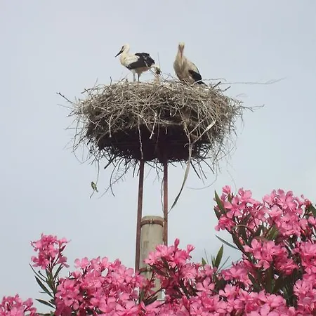 St John's House * Selçuk